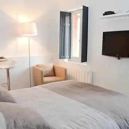 Victor Hugo Apartment Toulouse